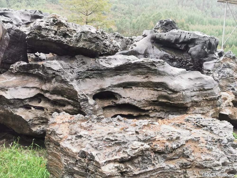 风景石、假山石大量有货,有需要的欢迎联系 - 新手上路 - 韶关生活社区 - 韶关28生活网 sg.28life.com