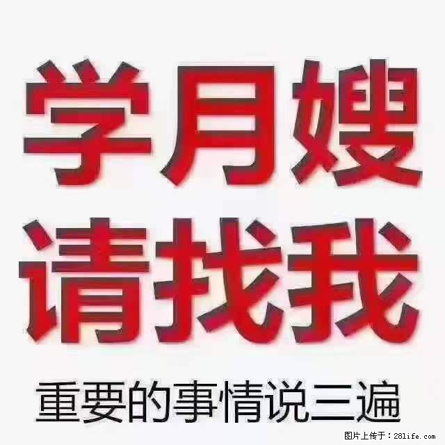 为什么要学习月嫂，育婴师？ - 其他广告 - 广告专区 - 韶关分类信息 - 韶关28生活网 sg.28life.com