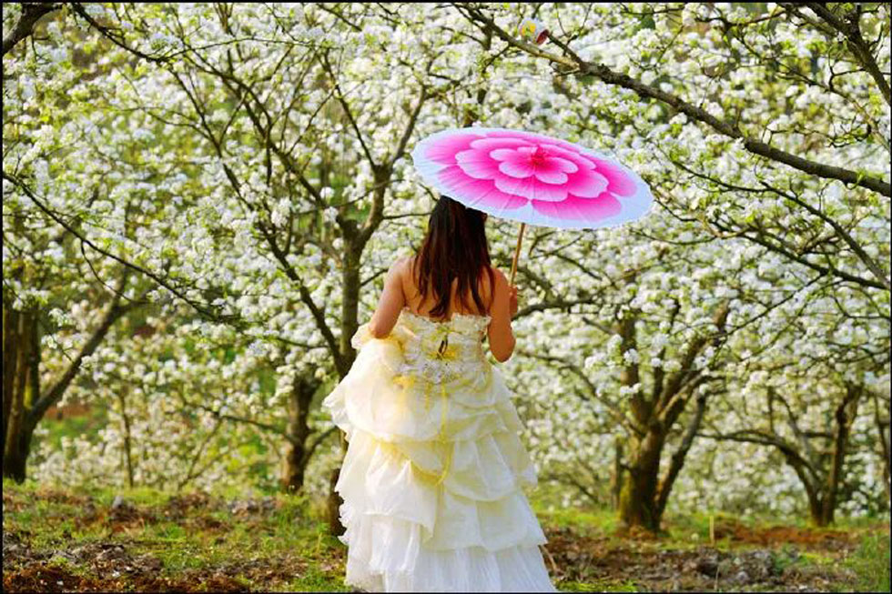 【春天,广西桂林灌阳县向您发出邀请!】我们在灌阳看梨花 - 游山玩水 - 韶关生活社区 - 韶关28生活网 sg.28life.com