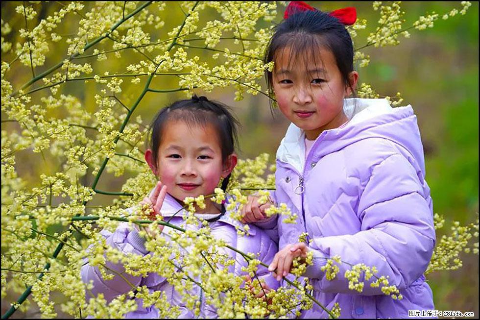 【春天,广西桂林灌阳县向您发出邀请!】米珠山前有片山苍子花在飘香 - 游山玩水 - 韶关生活社区 - 韶关28生活网 sg.28life.com