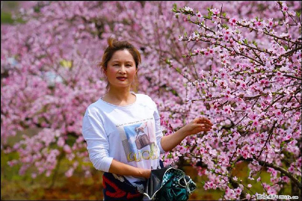 【春天,广西桂林灌阳县向您发出邀请!】官庄村有个醉美的桃花园 - 游山玩水 - 韶关生活社区 - 韶关28生活网 sg.28life.com