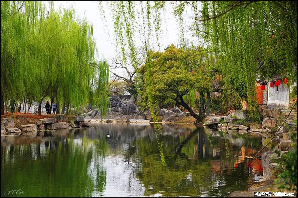 【春天,广西桂林灌阳县向您发出邀请!】江口老街又逢春 - 游山玩水 - 韶关生活社区 - 韶关28生活网 sg.28life.com