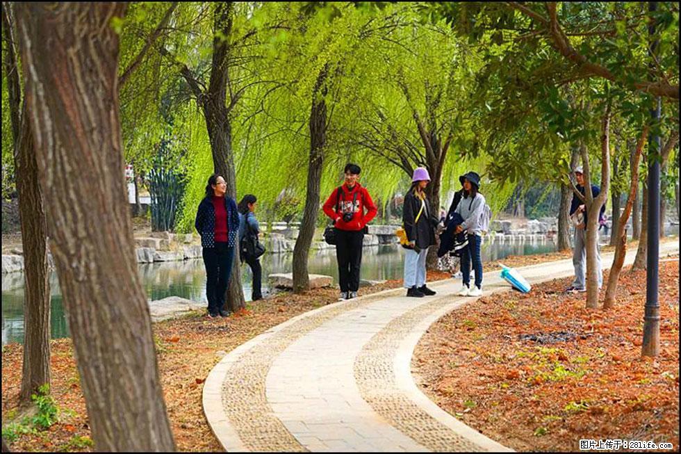 【春天,广西桂林灌阳县向您发出邀请!】江口老街又逢春 - 游山玩水 - 韶关生活社区 - 韶关28生活网 sg.28life.com