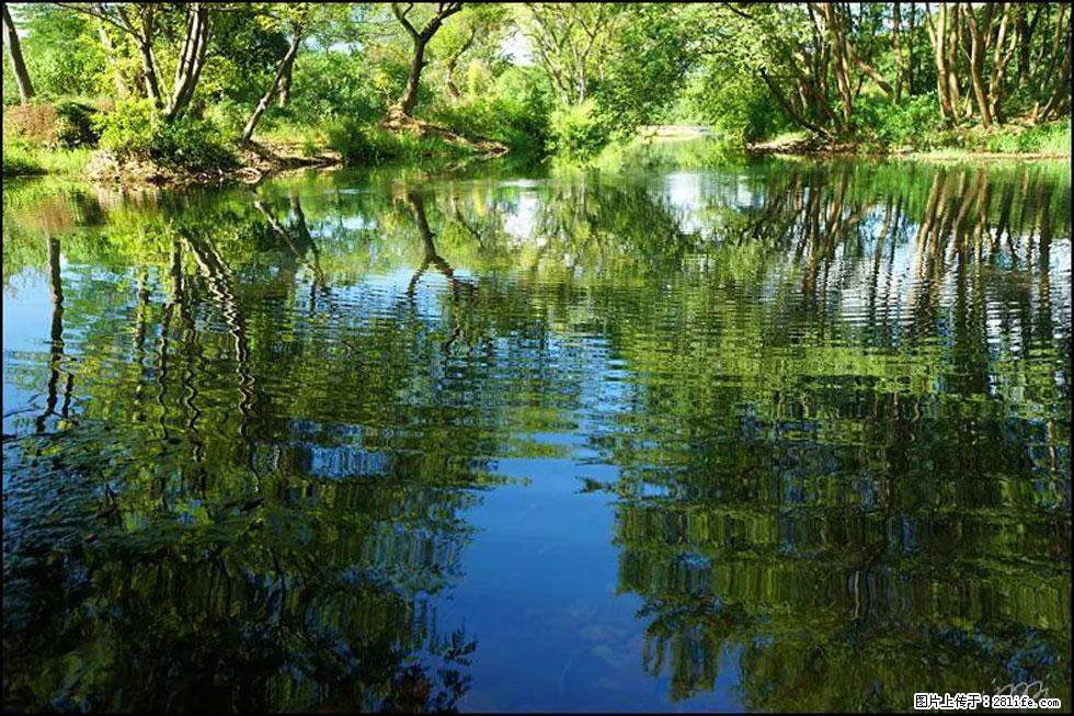 【春天,广西桂林灌阳县向您发出邀请!】熊家寨湿地公园 - 游山玩水 - 韶关生活社区 - 韶关28生活网 sg.28life.com