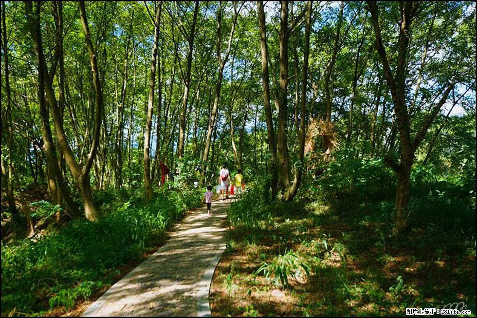 【春天,广西桂林灌阳县向您发出邀请!】熊家寨湿地公园 - 游山玩水 - 韶关生活社区 - 韶关28生活网 sg.28life.com