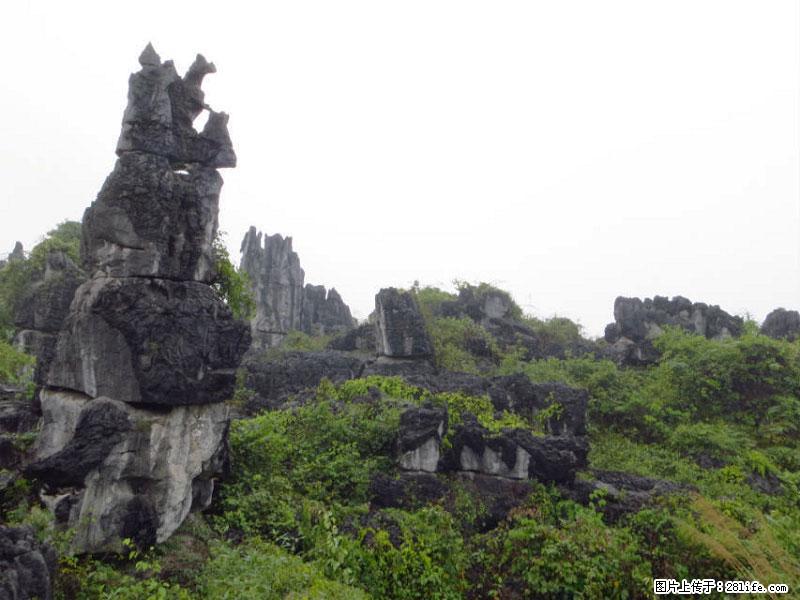 桂林旅游名城景点:灌阳文市石林 - 游山玩水 - 韶关生活社区 - 韶关28生活网 sg.28life.com
