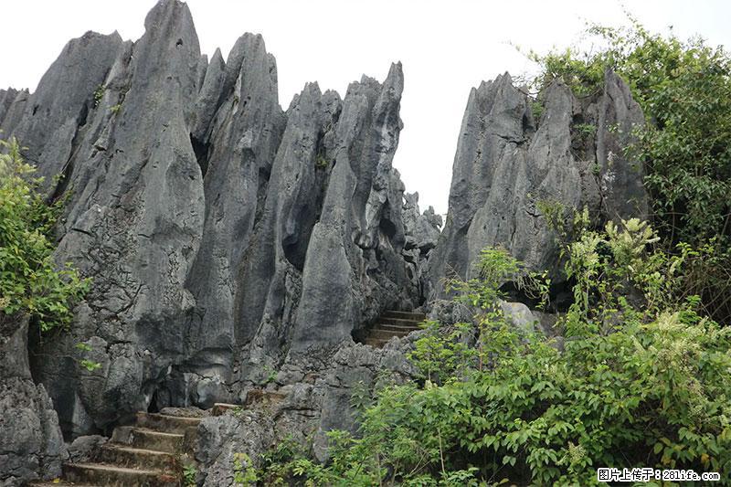 桂林旅游名城景点：灌阳文市石林 - 游山玩水 - 韶关生活社区 - 韶关28生活网 sg.28life.com