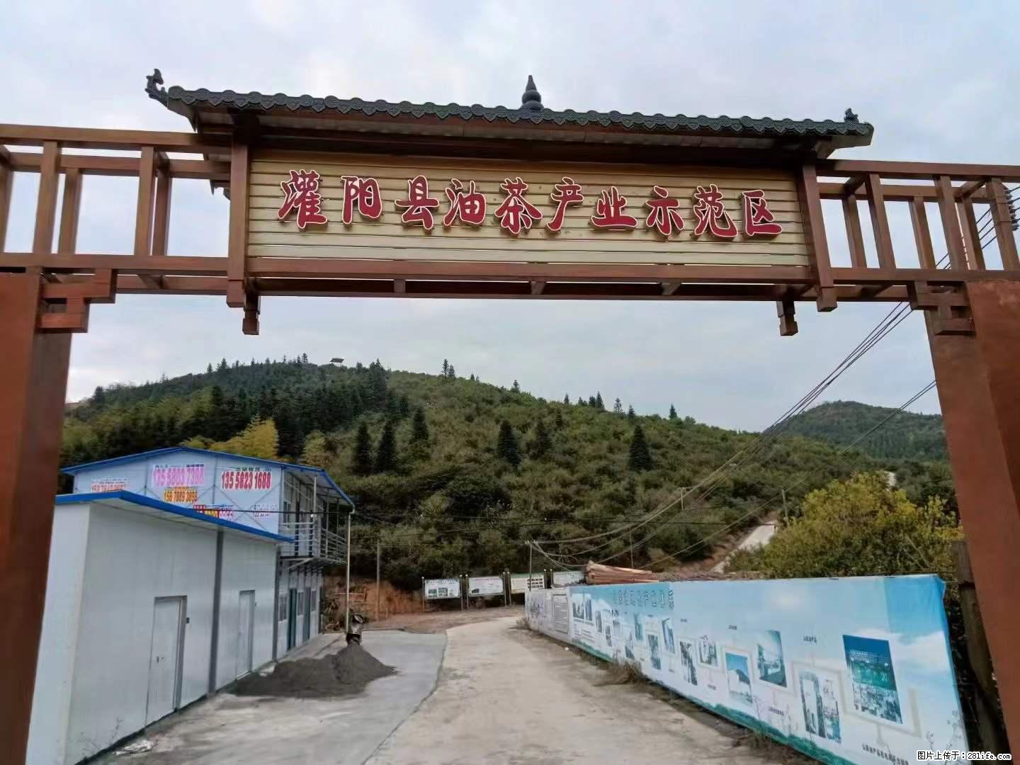 【灌阳县油茶产业示范区】一个有着充实的精神生活的人,对待身外之物自会有一种淡泊的态度 - 美食天地 - 韶关生活社区 - 韶关28生活网 sg.28life.com