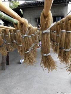 【灌阳正宗红薯粉】美女家里自己做的,干净卫生,假一赔十,价格合理,抢购电话:13737312895 - 韶关28生活网 sg.28life.com