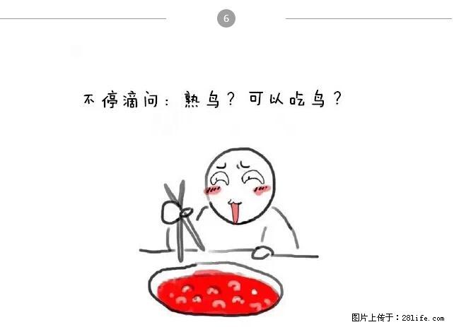 千万不要和这9种哈卵一起吃火锅! - 美食天地 - 韶关生活社区 - 韶关28生活网 sg.28life.com