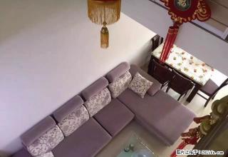 免费放盘 非常温馨漂亮的一套公寓出租 正南向噢 拎包可以入住 - 韶关28生活网 sg.28life.com