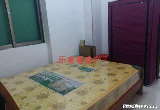 市中心 新房 电梯一房一厅 精美装修 拎包入住 - 韶关28生活网 sg.28life.com