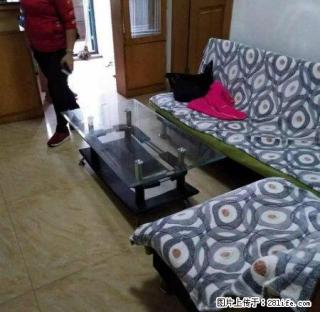 新华南路沃尔玛旁单位宿舍一房厅家私电器齐全来电即看拎包即住 - 韶关28生活网 sg.28life.com