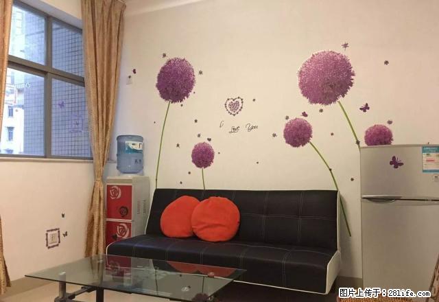 沙洲尾碧岛华庭电梯公寓,1房1厅,家私电器齐全,交通便利。 - 房屋出租 - 房屋租售 - 韶关分类信息 - 韶关28生活网 sg.28life.com