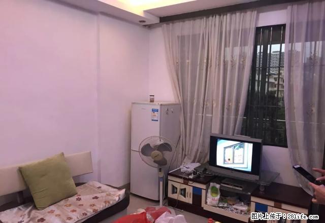 真实新租房:沙洲尾晖景园电梯3楼,1房1厅,精致装修,全齐了 - 房屋出租 - 房屋租售 - 韶关分类信息 - 韶关28生活网 sg.28life.com