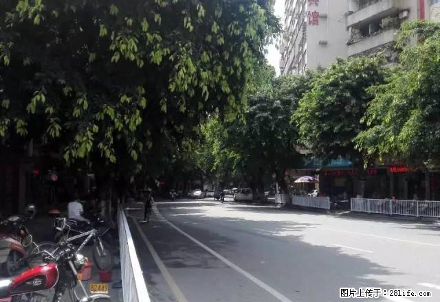 电梯2房一厅租1100元电器齐全新华北路百货大厦过桥到市中心 - 房屋出租 - 房屋租售 - 韶关分类信息 - 韶关28生活网 sg.28life.com