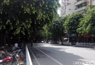 电梯2房一厅租1100元电器齐全新华北路百货大厦过桥到市中心 - 韶关28生活网 sg.28life.com