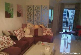 香槟小城 市中心豪华装修 给你不一样的生活环境 - 韶关28生活网 sg.28life.com