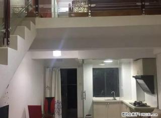 复式公寓,豪华装修.电梯房,.拎包入住. - 韶关28生活网 sg.28life.com