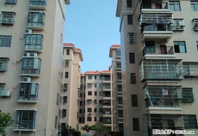马坝新镇政府旁边回迁房出租(余靖小学附近) - 房屋出租 - 房屋租售 - 韶关分类信息 - 韶关28生活网 sg.28life.com