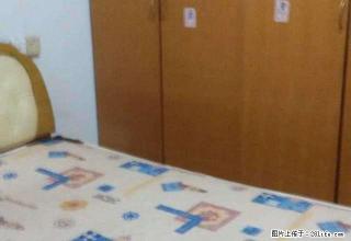 浈江市区大文商场 1室1厅33平米 精装修 押二付一 - 韶关28生活网 sg.28life.com