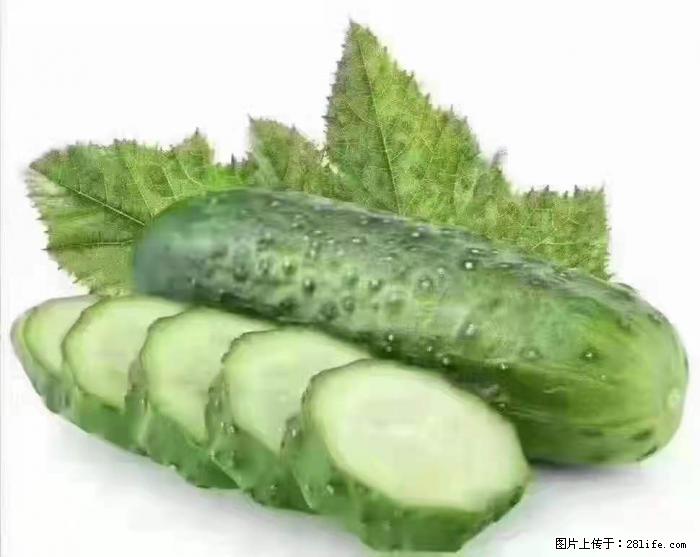 【生活小常识】吃黄瓜的好处 - 生活百科 - 韶关生活社区 - 韶关28生活网 sg.28life.com