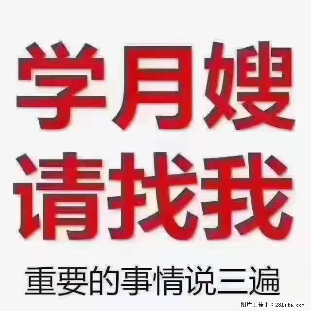 【招聘】月嫂,上海徐汇区 - 职场交流 - 韶关生活社区 - 韶关28生活网 sg.28life.com