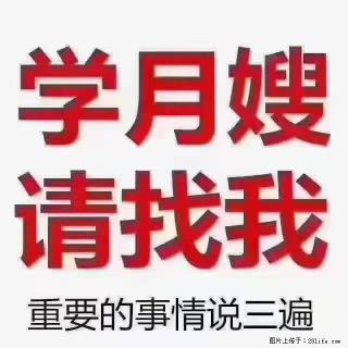 【招聘】月嫂，上海徐汇区 - 韶关28生活网 sg.28life.com