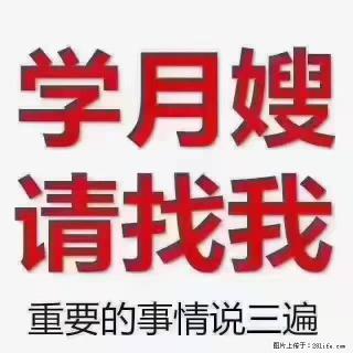 【招聘】月嫂,上海徐汇区 - 韶关28生活网 sg.28life.com
