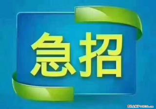 招出纳8000元/月，无证可以，要有相关经验，上海五险一金，包住，包工作餐，做六休一。 - 韶关28生活网 sg.28life.com