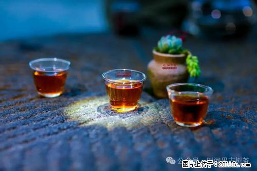 时间果百年古树2025年春红茶 - 购物交流 - 韶关生活社区 - 韶关28生活网 sg.28life.com