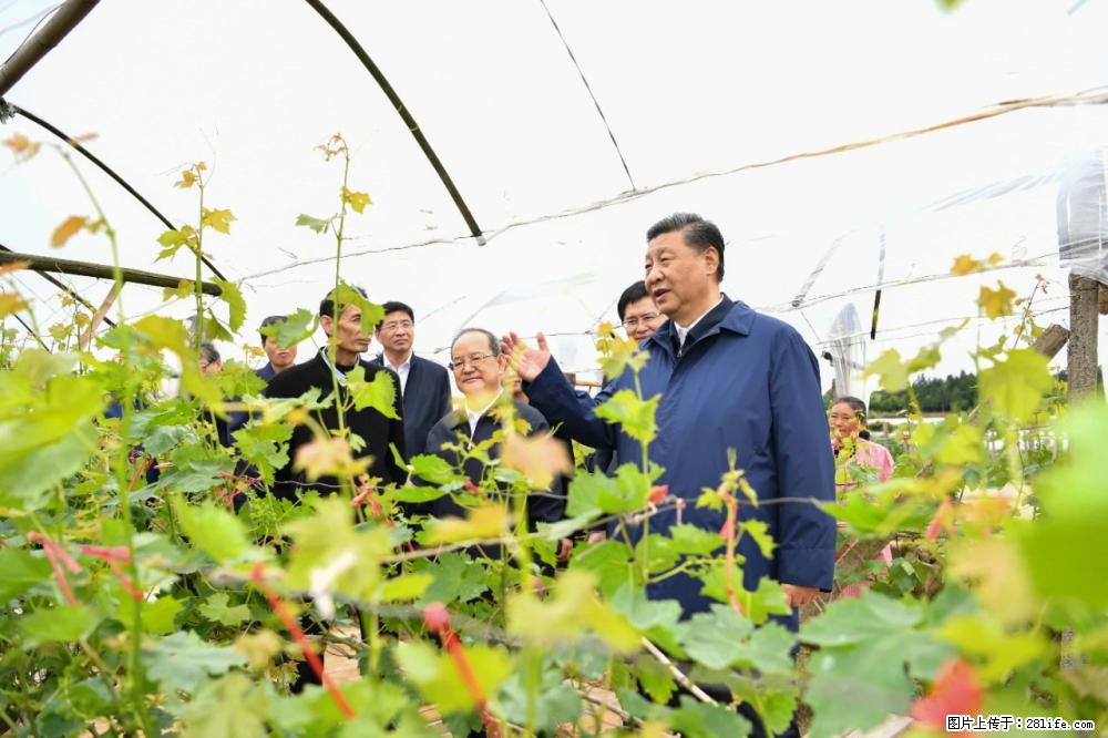 习近平赴广西考察调研 - 韶关生活资讯 - 韶关28生活网 sg.28life.com