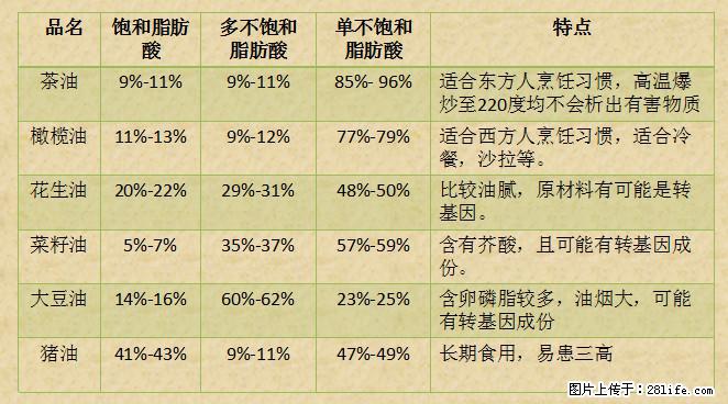 揭秘茶油的5大核心营养成分!被称为人体健康的“守护盾”! - 韶关生活资讯 - 韶关28生活网 sg.28life.com
