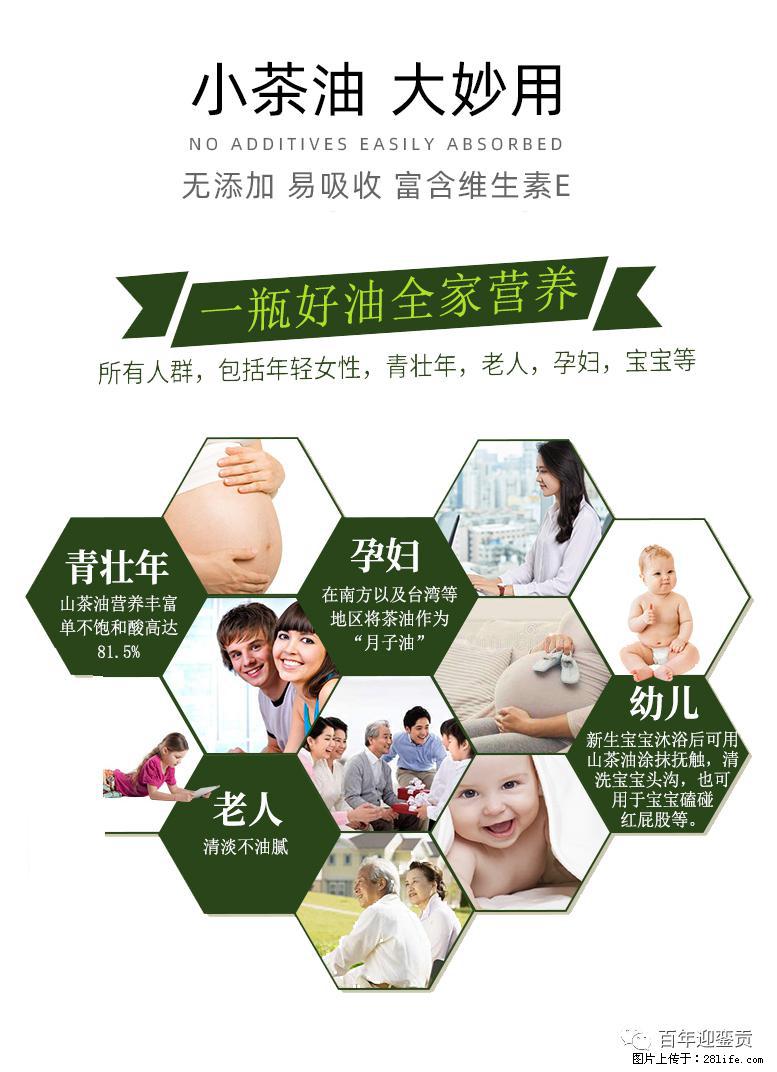 世界没有真相,只有认知,最好的食用油是中国的山茶油! - 韶关生活资讯 - 韶关28生活网 sg.28life.com