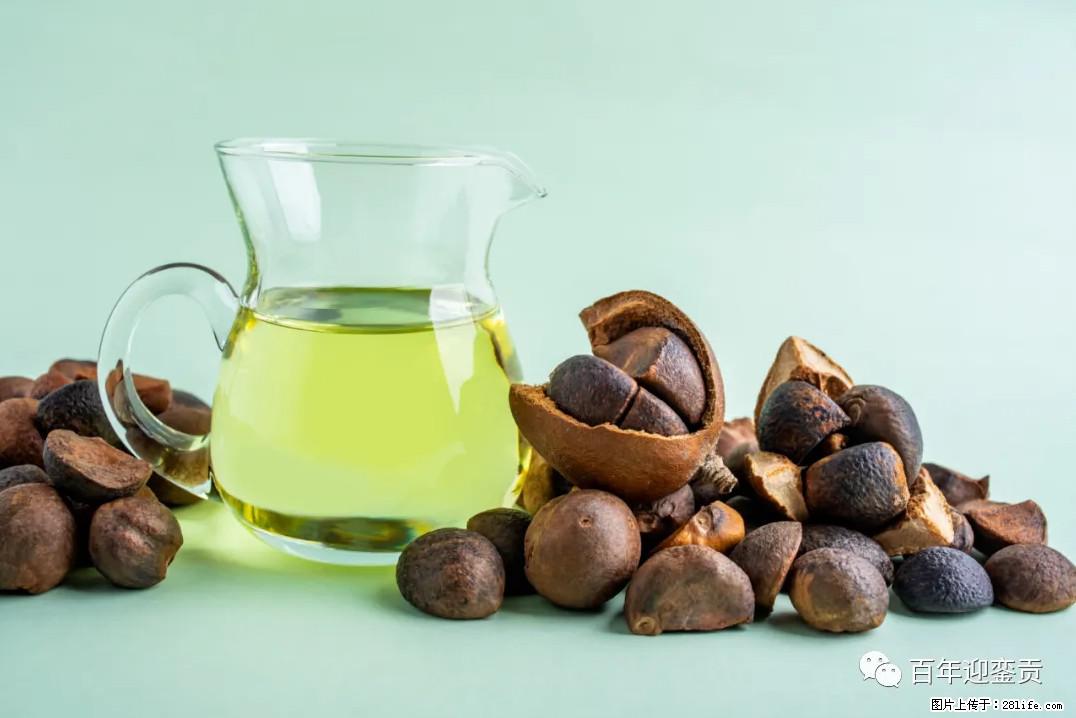 世界没有真相，只有认知，最好的食用油是中国的山茶油！ - 韶关生活资讯 - 韶关28生活网 sg.28life.com