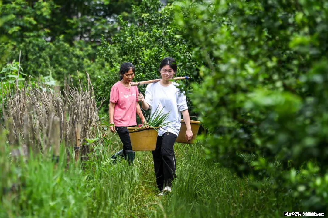 全网追的“扁担女孩”，找了一份暑假工，时薪12元 - 韶关生活资讯 - 韶关28生活网 sg.28life.com