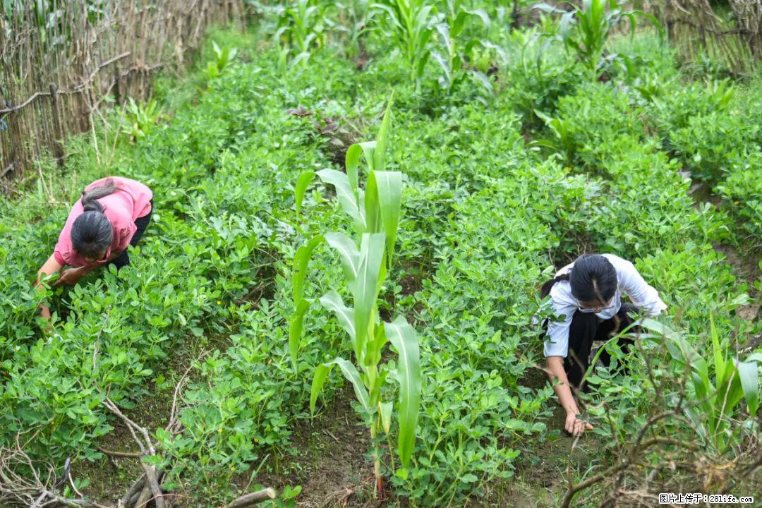 全网追的“扁担女孩”，找了一份暑假工，时薪12元 - 韶关生活资讯 - 韶关28生活网 sg.28life.com