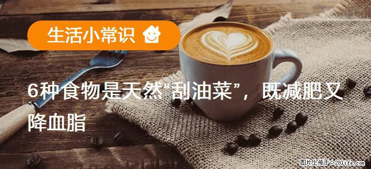 【生活小常识】6种食物是天然“刮油菜”，既减肥又降血脂 - 韶关生活资讯 - 韶关28生活网 sg.28life.com