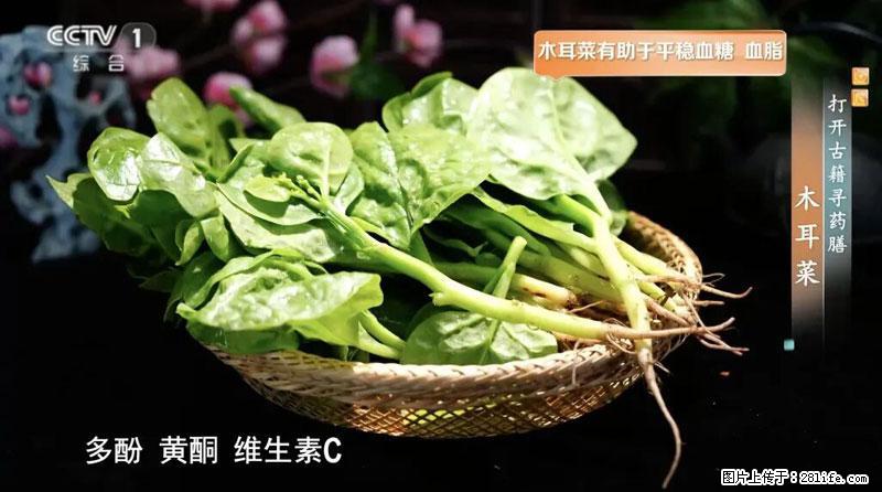 比牛奶补钙还厉害！凉血解毒、稳血糖...这菜冬天必吃，很多人却当草 - 韶关生活资讯 - 韶关28生活网 sg.28life.com