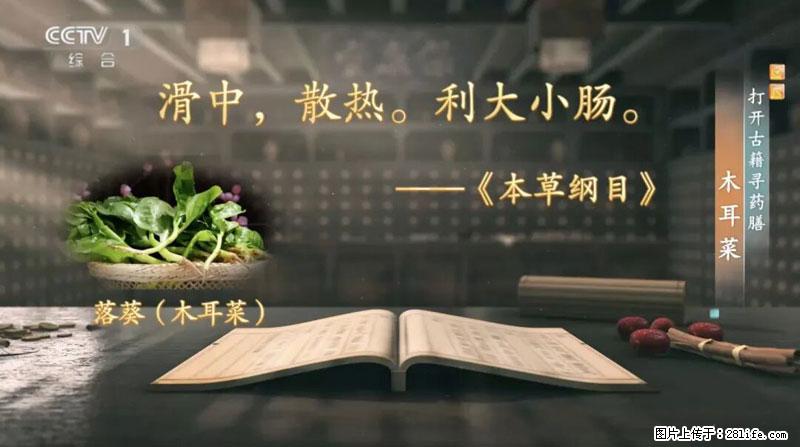 比牛奶补钙还厉害！凉血解毒、稳血糖...这菜冬天必吃，很多人却当草 - 韶关生活资讯 - 韶关28生活网 sg.28life.com