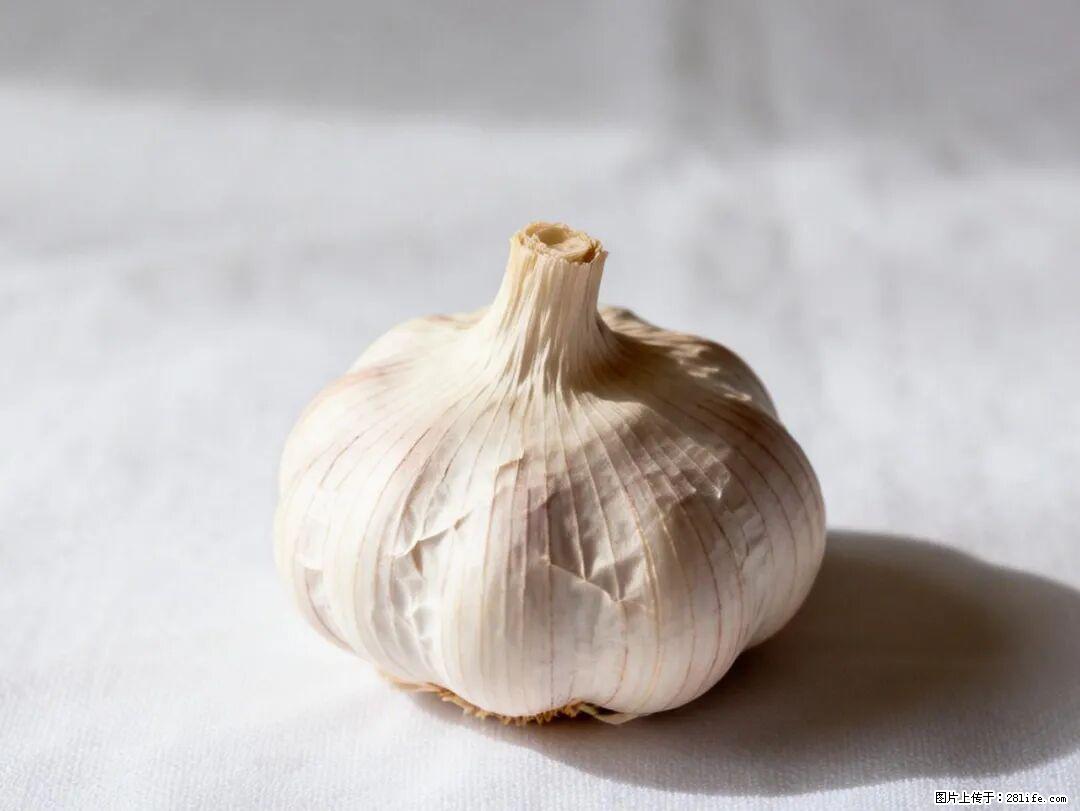 关于大蒜，除了“天然抗生素”，这4个谣言更该警惕! - 韶关生活资讯 - 韶关28生活网 sg.28life.com