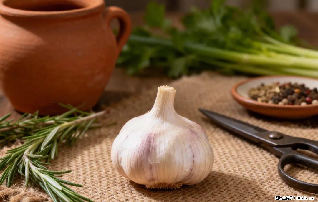 关于大蒜，除了“天然抗生素”，这4个谣言更该警惕! - 韶关生活资讯 - 韶关28生活网 sg.28life.com