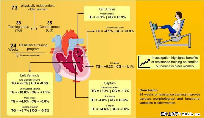 坚持这种运动6个月，心脏有了显著变化！不是跑步，也不是走路 - 韶关生活资讯 - 韶关28生活网 sg.28life.com