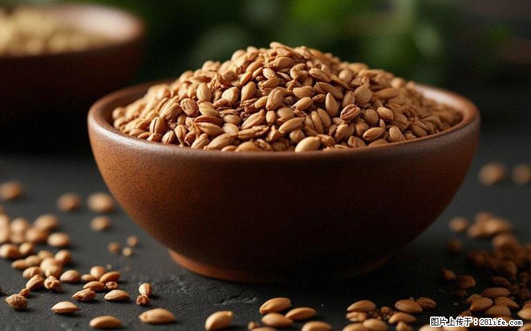 这三苦是三高“克星”，心血管干净不易堵！每天吃一点，指标慢慢降下来~ - 韶关生活资讯 - 韶关28生活网 sg.28life.com