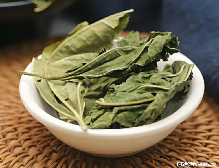 这三苦是三高“克星”，心血管干净不易堵！每天吃一点，指标慢慢降下来~ - 韶关生活资讯 - 韶关28生活网 sg.28life.com