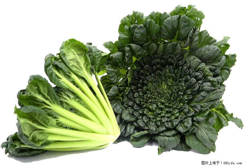 这些蔬菜是“天然钙片”,这6种被医生重点推荐 - 韶关生活资讯 - 韶关28生活网 sg.28life.com