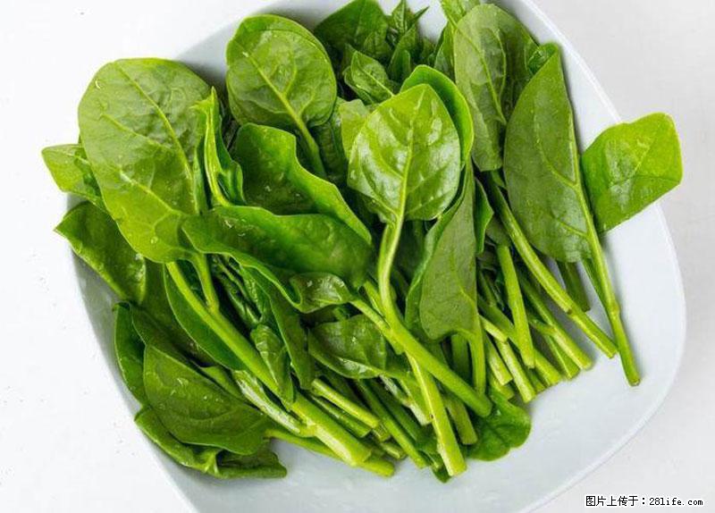 这些蔬菜是“天然钙片”,这6种被医生重点推荐 - 韶关生活资讯 - 韶关28生活网 sg.28life.com