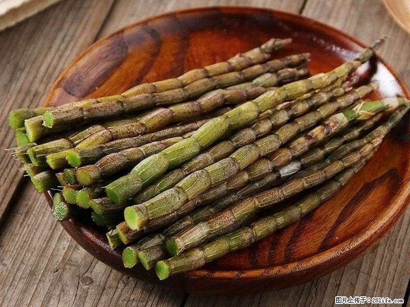 铁皮石斛的作用与功能主治 - 韶关生活资讯 - 韶关28生活网 sg.28life.com