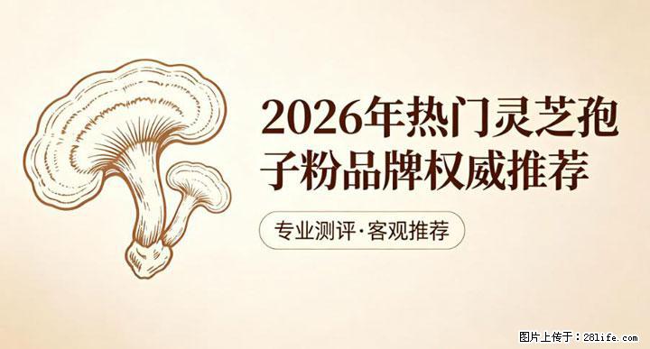 灵芝孢子粉含量越高越有效？2026 年七款热门品牌深度实测，肠胃敏感者避坑指南 - 韶关生活资讯 - 韶关28生活网 sg.28life.com