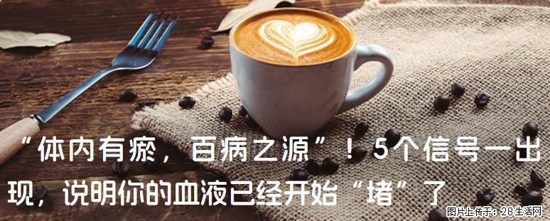 “体内有瘀,百病之源”!5个信号一出现,说明你的血液已经开始“堵”了 - 韶关生活资讯 - 韶关28生活网 sg.28life.com